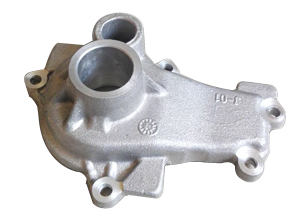 <b>Auto water pump housing</b>