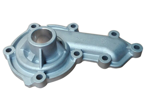 <b>Auto water pump housing</b>